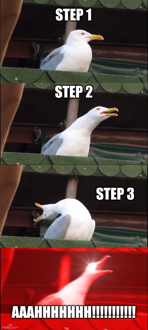 Inhaling Seagull | STEP 1; STEP 2; STEP 3; AAAHHHHHHH!!!!!!!!!!! | image tagged in memes,inhaling seagull | made w/ Imgflip meme maker