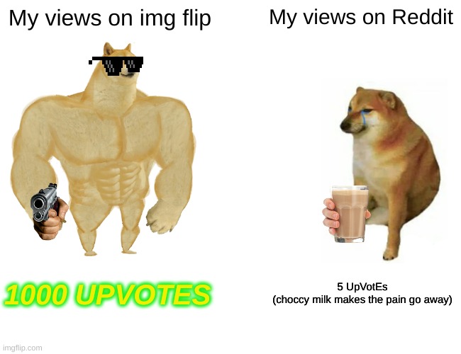 Buff Doge vs. Cheems | My views on img flip; My views on Reddit; 1000 UPVOTES; 5 UpVotEs
(choccy milk makes the pain go away) | image tagged in memes,buff doge vs cheems | made w/ Imgflip meme maker