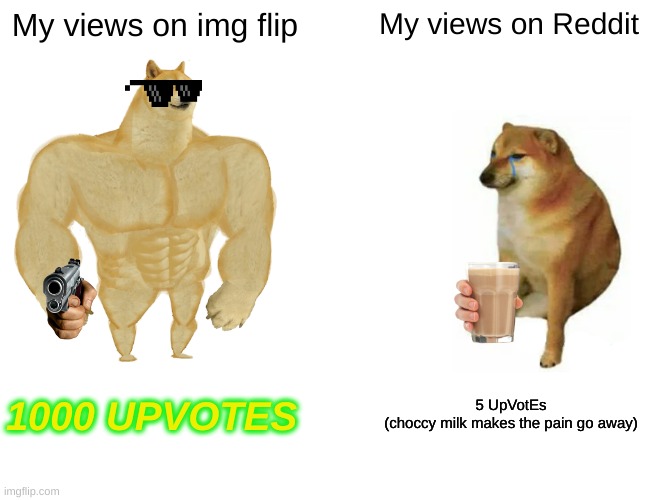 Buff Doge vs. Cheems Meme | My views on img flip; My views on Reddit; 1000 UPVOTES; 5 UpVotEs
(choccy milk makes the pain go away) | image tagged in memes,buff doge vs cheems | made w/ Imgflip meme maker