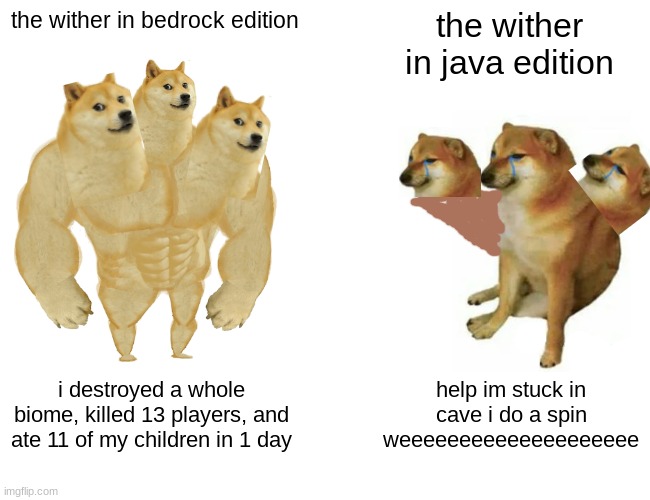 some minecraft meme i made | the wither in bedrock edition; the wither in java edition; i destroyed a whole biome, killed 13 players, and ate 11 of my children in 1 day; help im stuck in cave i do a spin weeeeeeeeeeeeeeeeeeee | image tagged in memes,buff doge vs cheems | made w/ Imgflip meme maker
