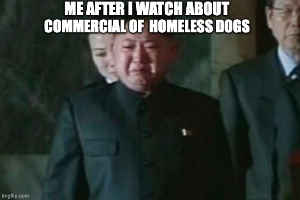 Kim Jong Un Sad | ME AFTER I WATCH ABOUT; COMMERCIAL OF  HOMELESS DOGS | image tagged in memes,kim jong un sad | made w/ Imgflip meme maker