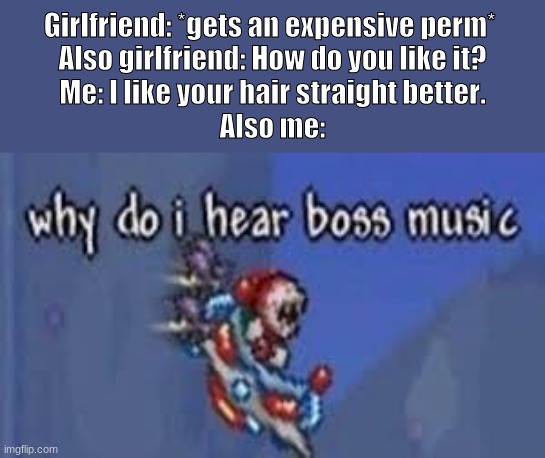 Never, EVER, go against your girlfriend. ALWAYS agree with her. Otherwise, well... You get the idea. | Girlfriend: *gets an expensive perm* 
Also girlfriend: How do you like it?
Me: I like your hair straight better.
Also me: | image tagged in terraria,girlfriend | made w/ Imgflip meme maker