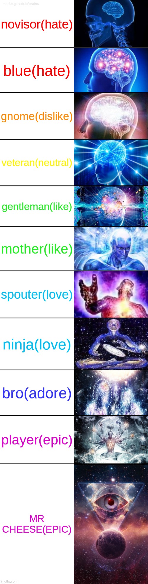 My Opinion On 11 Of The Among Us Logic Characters | novisor(hate); blue(hate); gnome(dislike); veteran(neutral); gentleman(like); mother(like); spouter(love); ninja(love); bro(adore); player(epic); MR CHEESE(EPIC) | image tagged in 11-tier expanding brain,among us logic | made w/ Imgflip meme maker