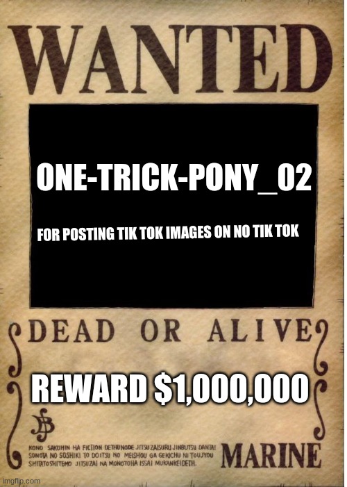 arrest this stupid tik toker | ONE-TRICK-PONY_02; FOR POSTING TIK TOK IMAGES ON NO TIK TOK; REWARD $1,000,000 | image tagged in one piece wanted poster template | made w/ Imgflip meme maker