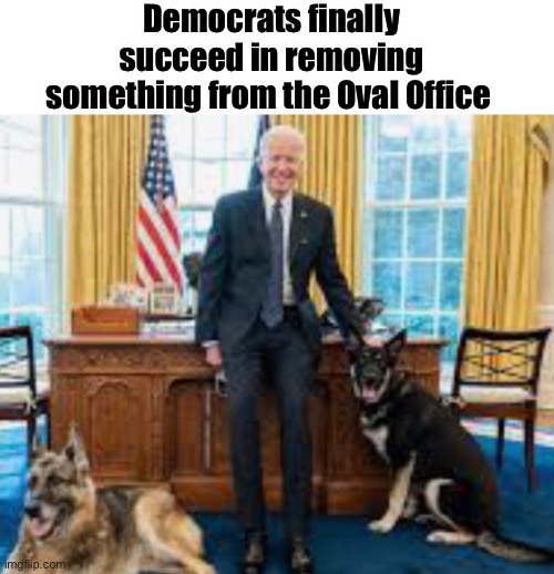 Good luck guys | Democrats finally succeed in removing something from the Oval Office | image tagged in joe biden,memes,politics lol,impeachment,oval office,shelter | made w/ Imgflip meme maker