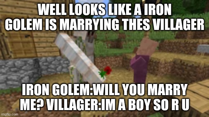 WELL LOOKS LIKE A IRON GOLEM IS MARRYING THES VILLAGER; IRON GOLEM:WILL YOU MARRY ME? VILLAGER:IM A BOY SO R U | made w/ Imgflip meme maker