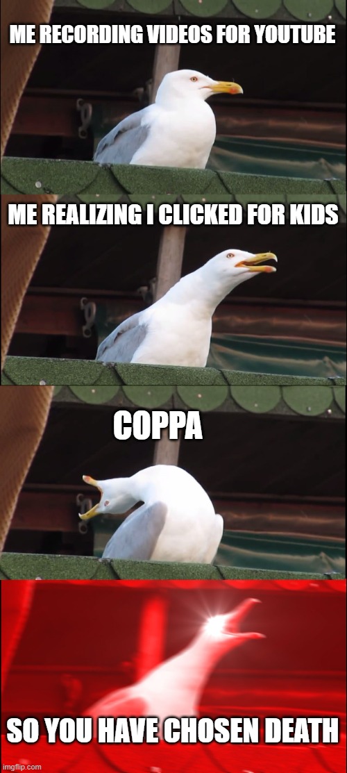 Inhaling Seagull | ME RECORDING VIDEOS FOR YOUTUBE; ME REALIZING I CLICKED FOR KIDS; COPPA; SO YOU HAVE CHOSEN DEATH | image tagged in memes,inhaling seagull | made w/ Imgflip meme maker