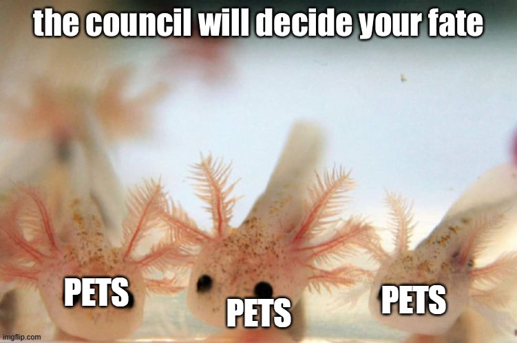 The axolotls will decide your fate | PETS; PETS; PETS | image tagged in the axolotls will decide your fate | made w/ Imgflip meme maker