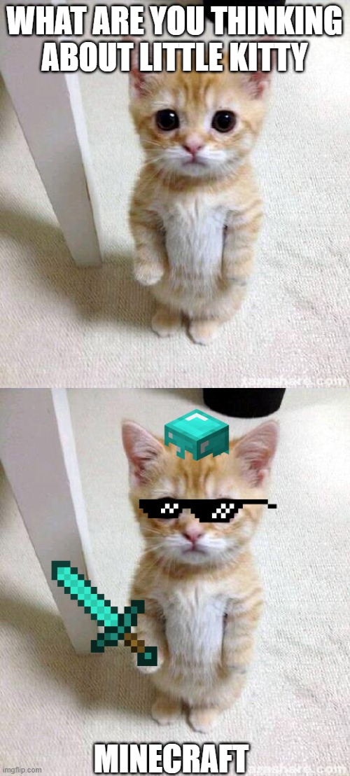 WHAT ARE YOU THINKING ABOUT LITTLE KITTY; MINECRAFT | image tagged in memes,cute cat | made w/ Imgflip meme maker