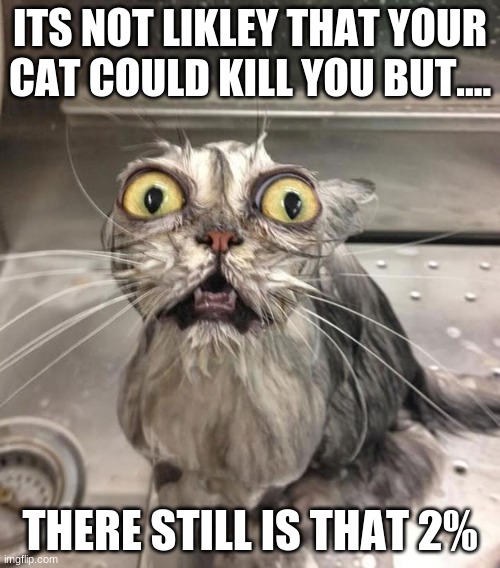 Wet Scary Cat | ITS NOT LIKLEY THAT YOUR CAT COULD KILL YOU BUT.... THERE STILL IS THAT 2% | image tagged in wet scary cat | made w/ Imgflip meme maker