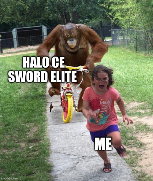 Orangutan chasing girl on a tricycle | HALO CE SWORD ELITE; ME | image tagged in orangutan chasing girl on a tricycle | made w/ Imgflip meme maker