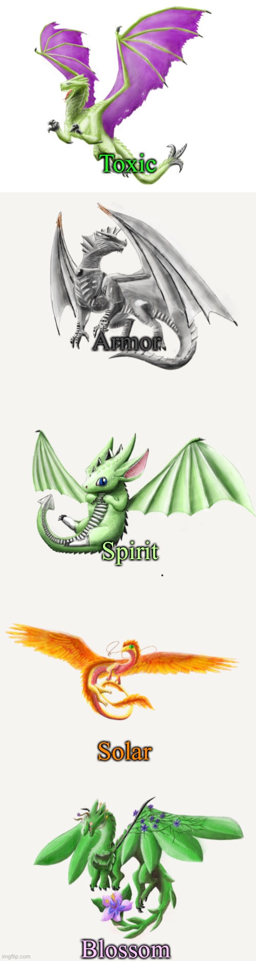 Not made by a character creator, but drawn by my dad for me, so it isn’t art stealing because he drew it for me | Toxic; Armor; Spirit; Solar; Blossom | made w/ Imgflip meme maker