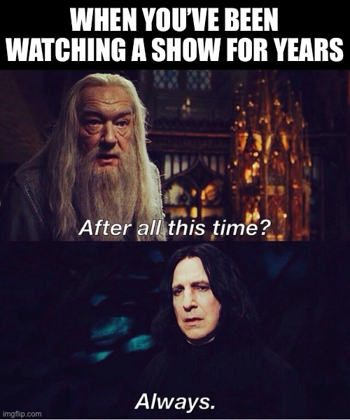 Watching a show for years - Harry Potter Meme | WHEN YOU’VE BEEN WATCHING A SHOW FOR YEARS | image tagged in after all this time always,harry potter,cartoon,anime,netflix,memes | made w/ Imgflip meme maker