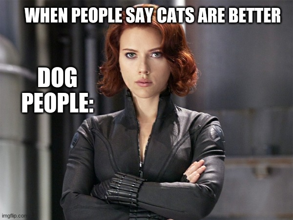 Black Widow - Not Impressed | WHEN PEOPLE SAY CATS ARE BETTER; DOG PEOPLE: | image tagged in black widow - not impressed | made w/ Imgflip meme maker