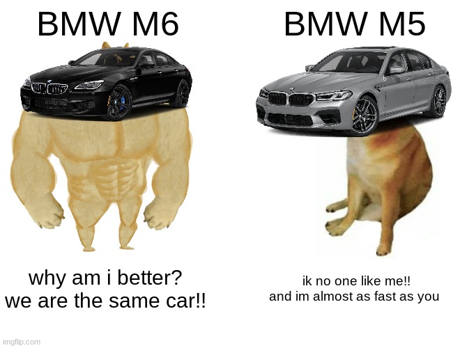 the same cars....but one is better... | BMW M6; BMW M5; why am i better? we are the same car!! ik no one like me!! and im almost as fast as you | image tagged in memes,buff doge vs cheems | made w/ Imgflip meme maker
