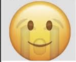 High Quality happy and crying emoji Blank Meme Template