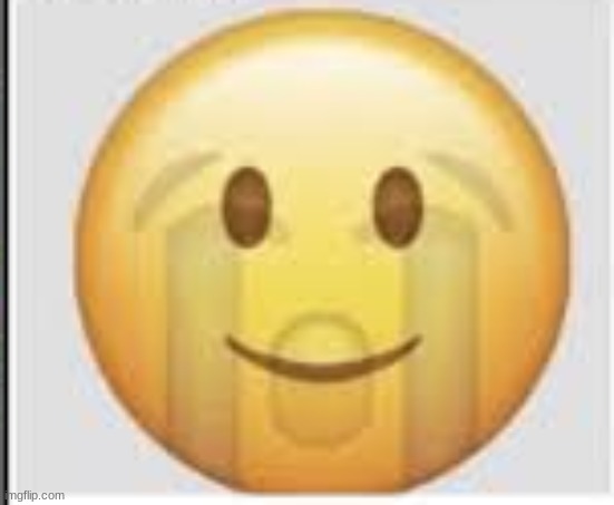 happy and crying emoji | image tagged in happy and crying emoji | made w/ Imgflip meme maker