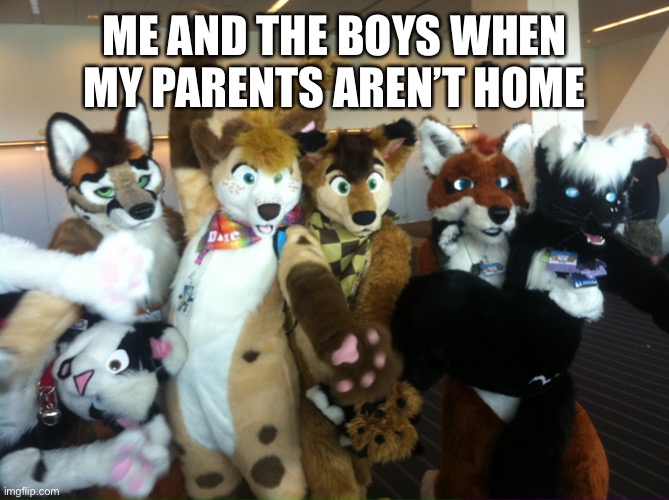 Not really but I wish | ME AND THE BOYS WHEN MY PARENTS AREN’T HOME | image tagged in furries | made w/ Imgflip meme maker