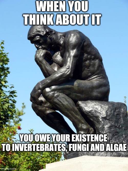 The Thinker | WHEN YOU THINK ABOUT IT; YOU OWE YOUR EXISTENCE 
TO INVERTEBRATES, FUNGI AND ALGAE | image tagged in the thinker | made w/ Imgflip meme maker