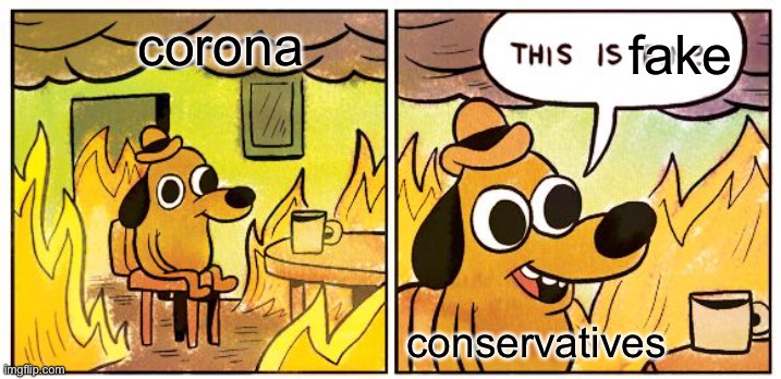 its not fake tho... | fake; corona; conservatives | image tagged in memes,this is fine | made w/ Imgflip meme maker