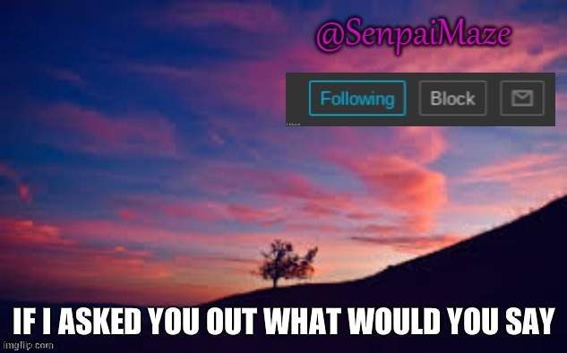 sunset | IF I ASKED YOU OUT WHAT WOULD YOU SAY | image tagged in sunset | made w/ Imgflip meme maker