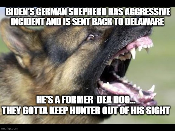 Biden's Dog Attacks | BIDEN'S GERMAN SHEPHERD HAS AGGRESSIVE INCIDENT AND IS SENT BACK TO DELAWARE; HE'S A FORMER  DEA DOG...
THEY GOTTA KEEP HUNTER OUT OF HIS SIGHT | image tagged in joe biden,hunter biden,white house,politics | made w/ Imgflip meme maker