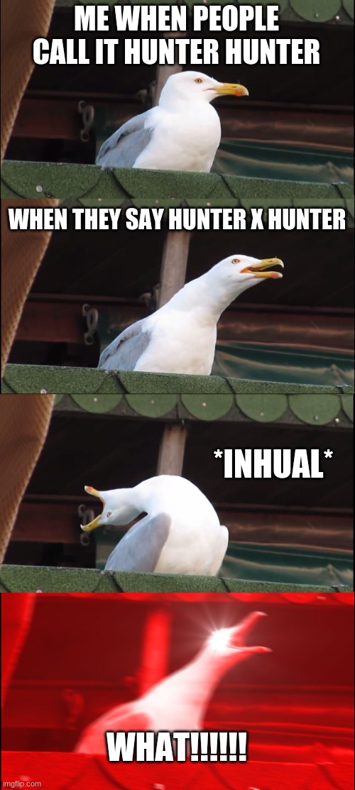 to all my weebs | ME WHEN PEOPLE CALL IT HUNTER HUNTER; WHEN THEY SAY HUNTER X HUNTER; *INHUAL*; WHAT!!!!!! | image tagged in memes,inhaling seagull | made w/ Imgflip meme maker