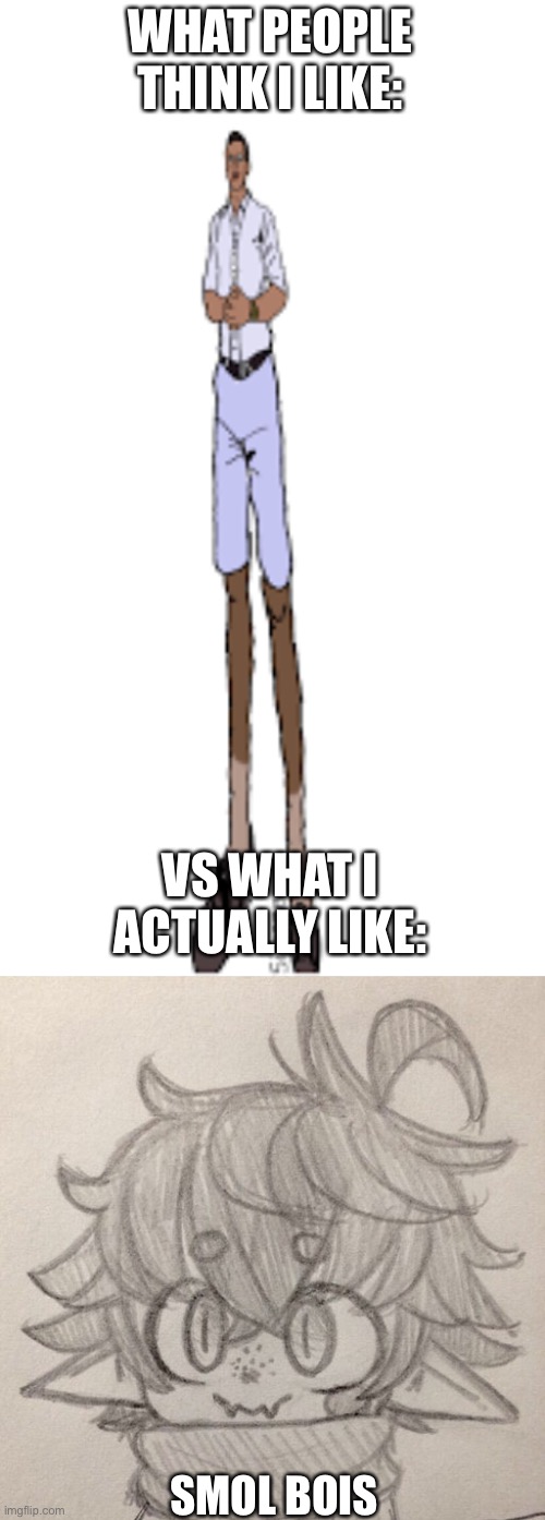 And some tall bois | WHAT PEOPLE THINK I LIKE:; VS WHAT I ACTUALLY LIKE:; SMOL BOIS | made w/ Imgflip meme maker