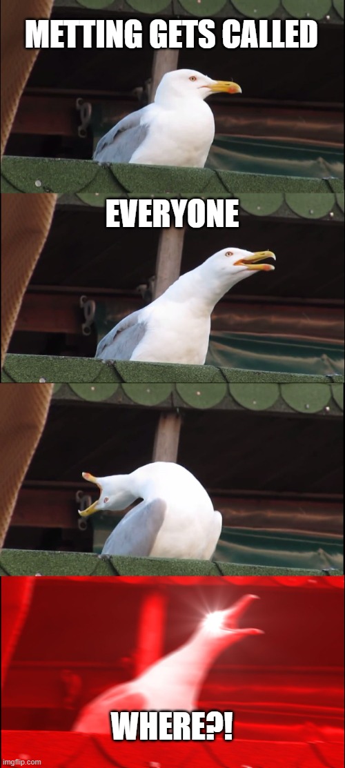 Among us be like: | METTING GETS CALLED; EVERYONE; WHERE?! | image tagged in memes,inhaling seagull | made w/ Imgflip meme maker