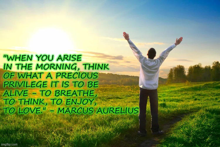 Alive | "WHEN YOU ARISE IN THE MORNING, THINK OF WHAT A PRECIOUS PRIVILEGE IT IS TO BE ALIVE - TO BREATHE, TO THINK, TO ENJOY, TO LOVE." - MARCUS AURELIUS | image tagged in alive,joy,hope,inspirational quote,empowerment | made w/ Imgflip meme maker