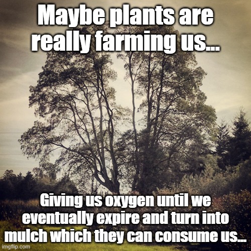 But don't I have a point? | Maybe plants are really farming us... Giving us oxygen until we eventually expire and turn into mulch which they can consume us... | image tagged in tree quote inspirational,shower thoughts,trees,oxygen | made w/ Imgflip meme maker