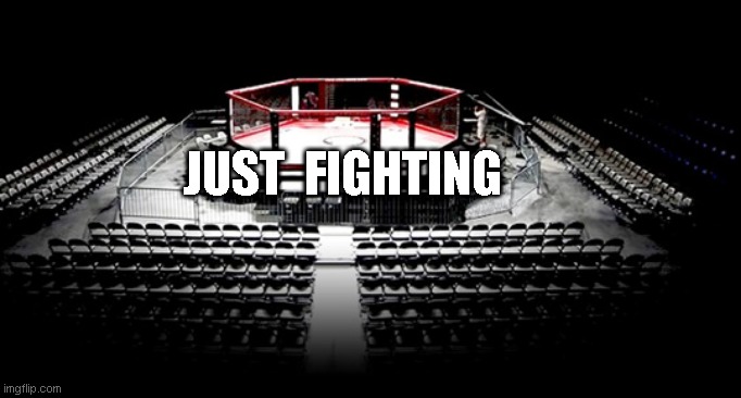 MMA Octagon | JUST  FIGHTING | image tagged in mma octagon | made w/ Imgflip meme maker