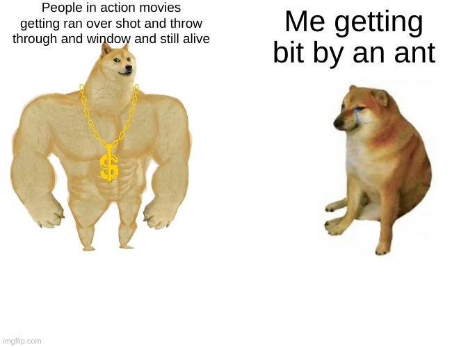 Doge | People in action movies getting ran over shot and throw through and window and still alive; Me getting bit by an ant | image tagged in memes,buff doge vs cheems | made w/ Imgflip meme maker