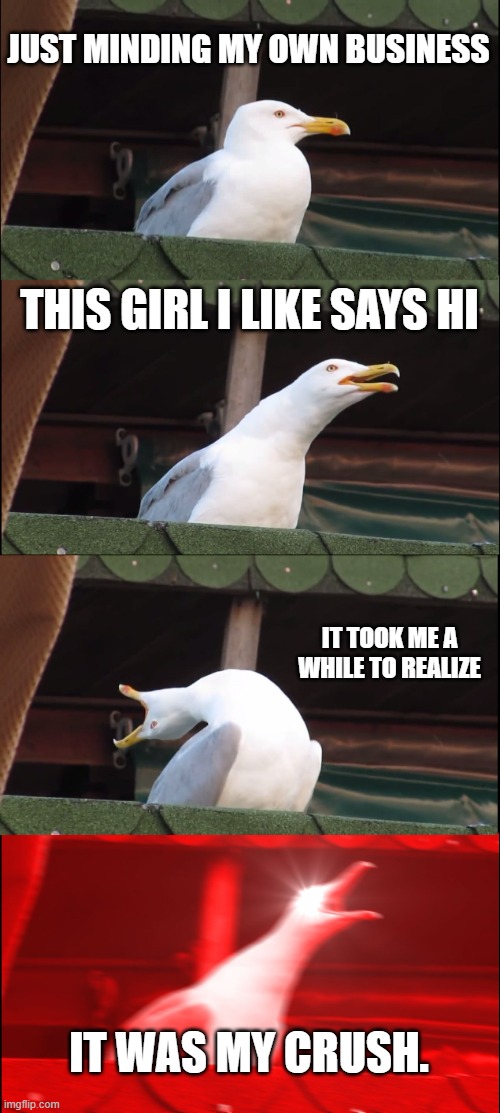 IT WAS MY CRUSH | JUST MINDING MY OWN BUSINESS; THIS GIRL I LIKE SAYS HI; IT TOOK ME A WHILE TO REALIZE; IT WAS MY CRUSH. | image tagged in memes,inhaling seagull | made w/ Imgflip meme maker
