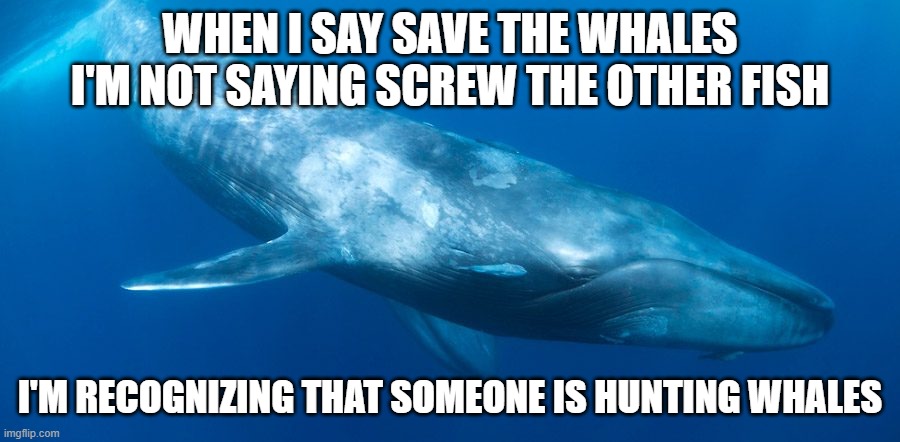 Save the Whales | WHEN I SAY SAVE THE WHALES I'M NOT SAYING SCREW THE OTHER FISH; I'M RECOGNIZING THAT SOMEONE IS HUNTING WHALES | image tagged in blue whale,blm | made w/ Imgflip meme maker