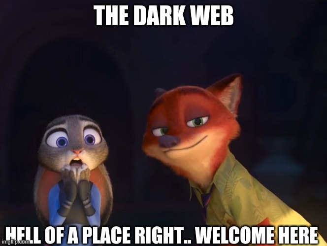 the internet it very very spooky, you found me CutesyPancake14 | THE DARK WEB; HELL OF A PLACE RIGHT.. WELCOME HERE | image tagged in judy hopps shocked nick wilde happy,internet dark web,lmao | made w/ Imgflip meme maker