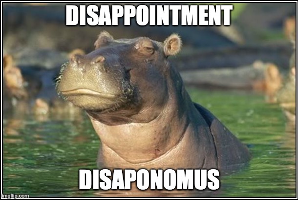  DISAPPOINTMENT; DISAPONOMUS | image tagged in skeptical hippo | made w/ Imgflip meme maker