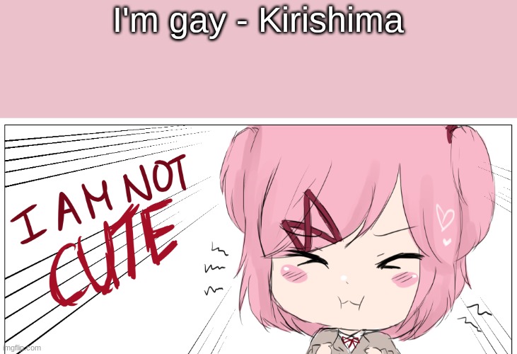 I am not cute | I'm gay - Kirishima | image tagged in i am not cute | made w/ Imgflip meme maker