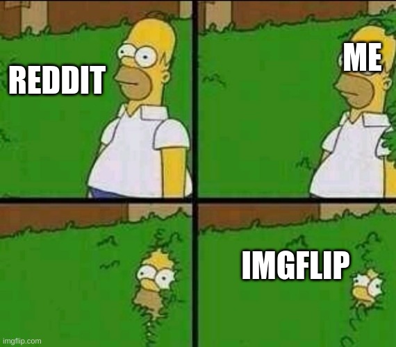 reddit is the trash bin of memes | ME; REDDIT; IMGFLIP | image tagged in homer simpson nope | made w/ Imgflip meme maker