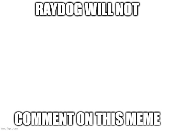 Blank White Template | RAYDOG WILL NOT; COMMENT ON THIS MEME | image tagged in blank white template | made w/ Imgflip meme maker