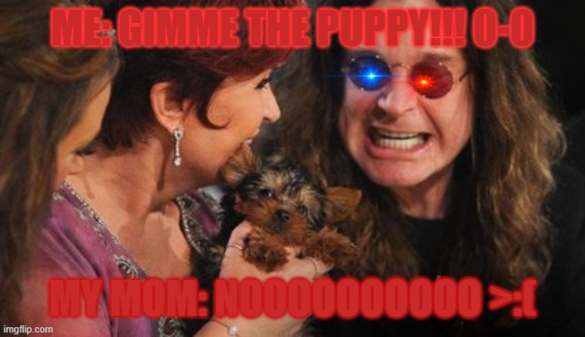 Selfish Ozzy Meme |  ME: GIMME THE PUPPY!!! 0-0; MY MOM: NOOOOOOOOOO >:( | image tagged in memes,selfish ozzy | made w/ Imgflip meme maker