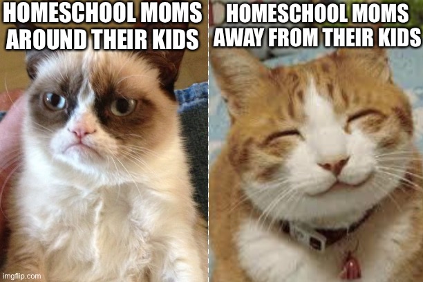 This is true | HOMESCHOOL MOMS AROUND THEIR KIDS; HOMESCHOOL MOMS AWAY FROM THEIR KIDS | image tagged in homeschool,funny,moms,teachers,kids,school | made w/ Imgflip meme maker