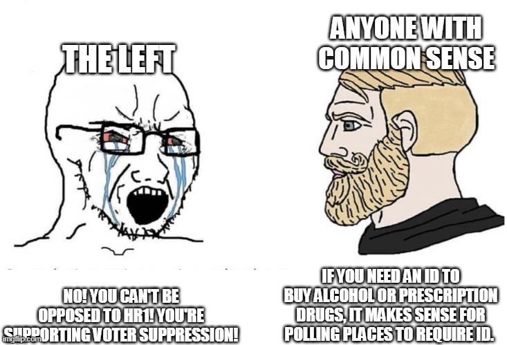 Soyboy Vs Yes Chad | ANYONE WITH COMMON SENSE; THE LEFT; IF YOU NEED AN ID TO BUY ALCOHOL OR PRESCRIPTION DRUGS, IT MAKES SENSE FOR POLLING PLACES TO REQUIRE ID. NO! YOU CAN'T BE OPPOSED TO HR1! YOU'RE SUPPORTING VOTER SUPPRESSION! | image tagged in soyboy vs yes chad | made w/ Imgflip meme maker