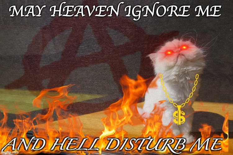 grumpy cat | MAY HEAVEN IGNORE ME; AND HELL DISTURB ME | image tagged in grumpy cat,cats,funny cats,hell,anarchy | made w/ Imgflip meme maker
