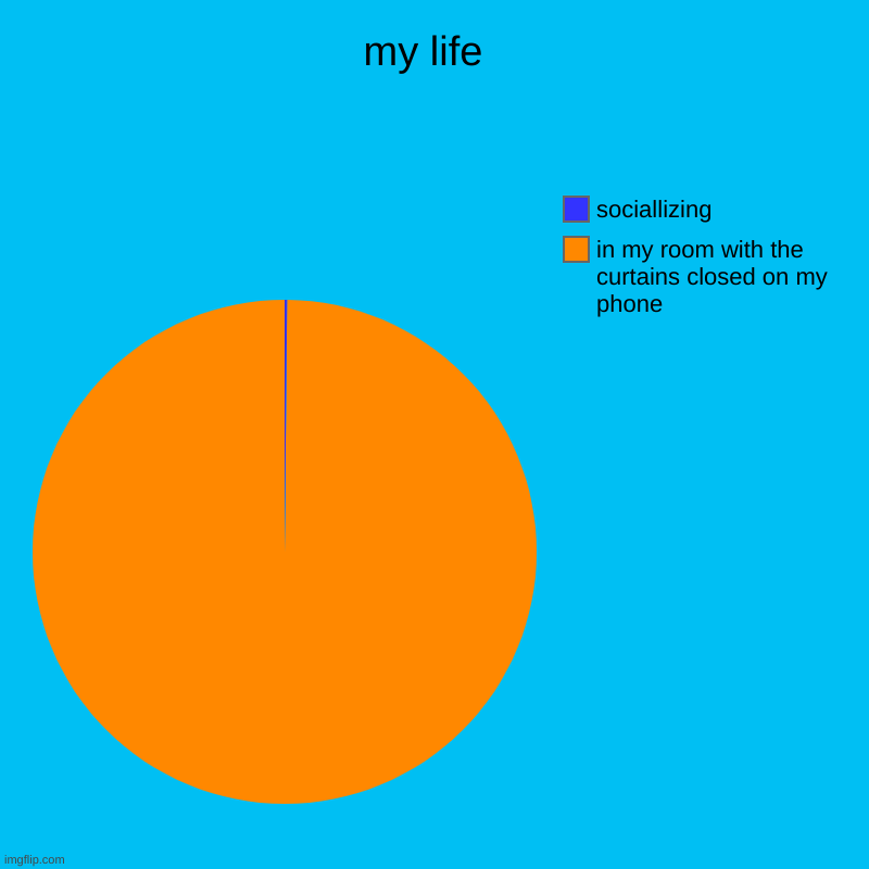 me life | my life  | in my room with the curtains closed on my phone, sociallizing | image tagged in charts,pie charts | made w/ Imgflip chart maker