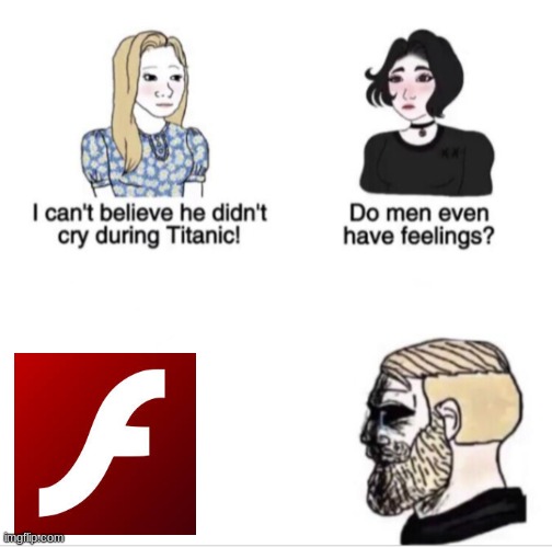 Adobe flash you will be missed... | image tagged in girls vs boys sad meme template | made w/ Imgflip meme maker