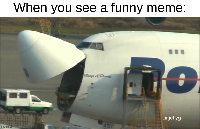 laughing plane | When you see a funny meme: | image tagged in 747 | made w/ Imgflip meme maker