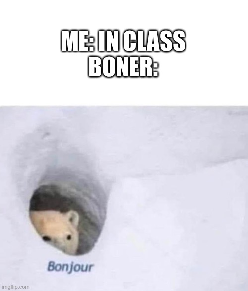 it always happen at the most random times | ME: IN CLASS
BONER: | image tagged in memes,funny,bonjour | made w/ Imgflip meme maker