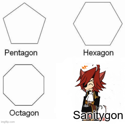 true | Sanitygon | image tagged in memes,pentagon hexagon octagon | made w/ Imgflip meme maker