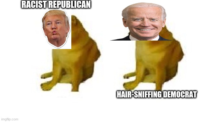 Cheems vs cheems | RACIST REPUBLICAN HAIR-SNIFFING DEMOCRAT | image tagged in cheems vs cheems | made w/ Imgflip meme maker